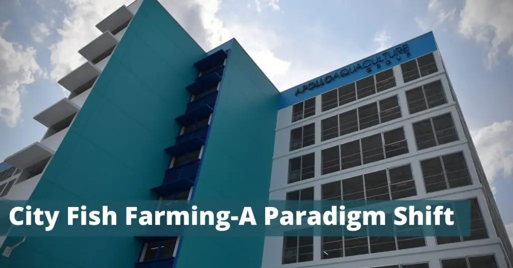 Vertical Fish Farming