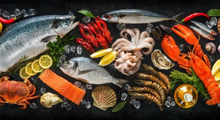 Best fish & Seafood for keto diet