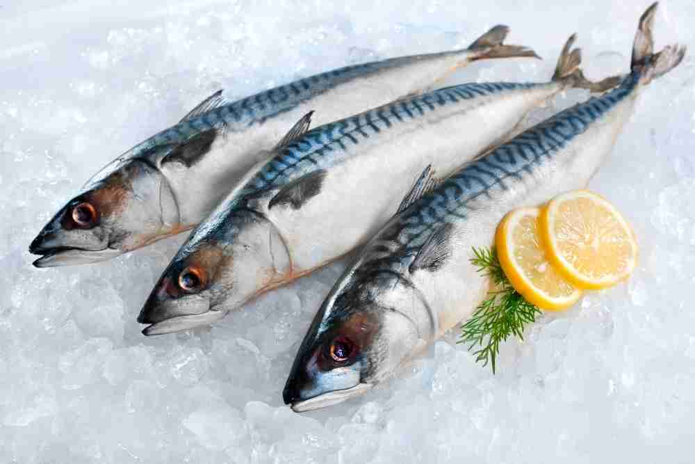 Mackerel fish for keto diet