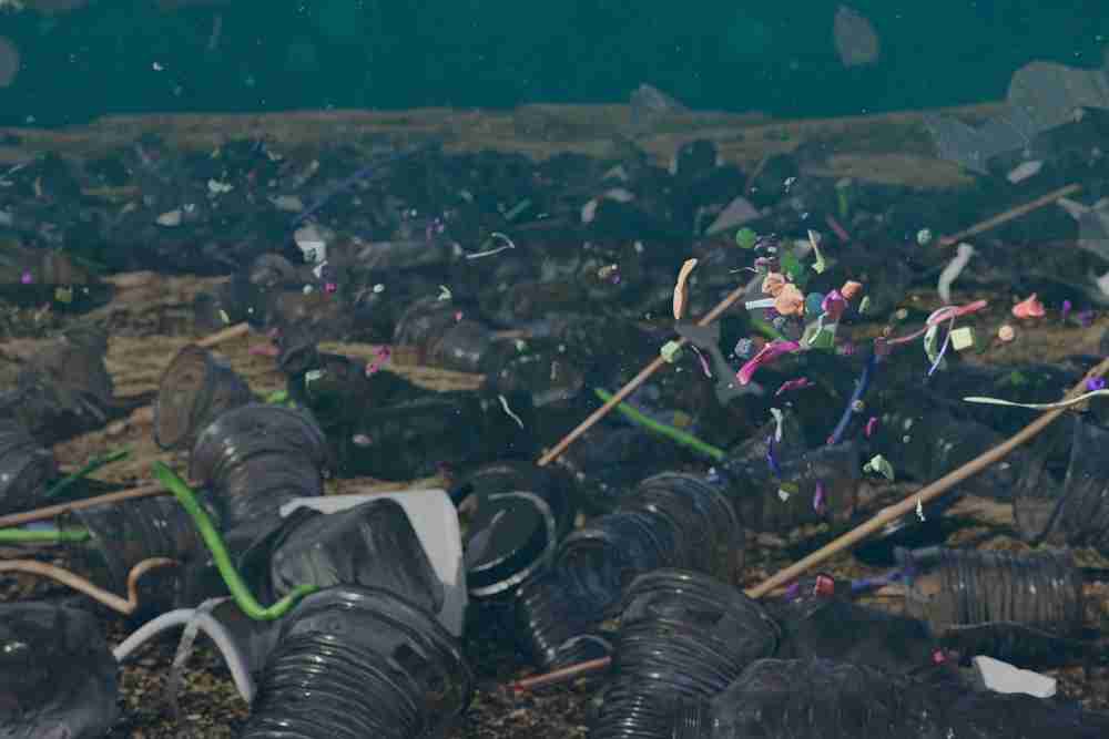 Microplastic Pollution in Deep Sea Sediments
