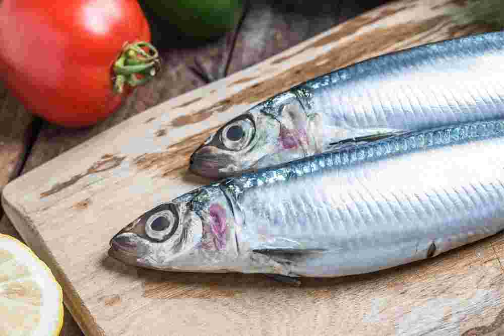Sardin fish for keto diet
