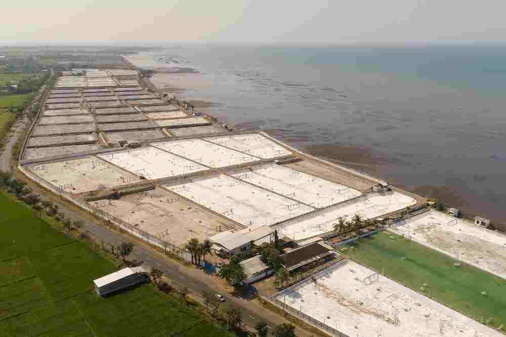 challenges of shrimp farming