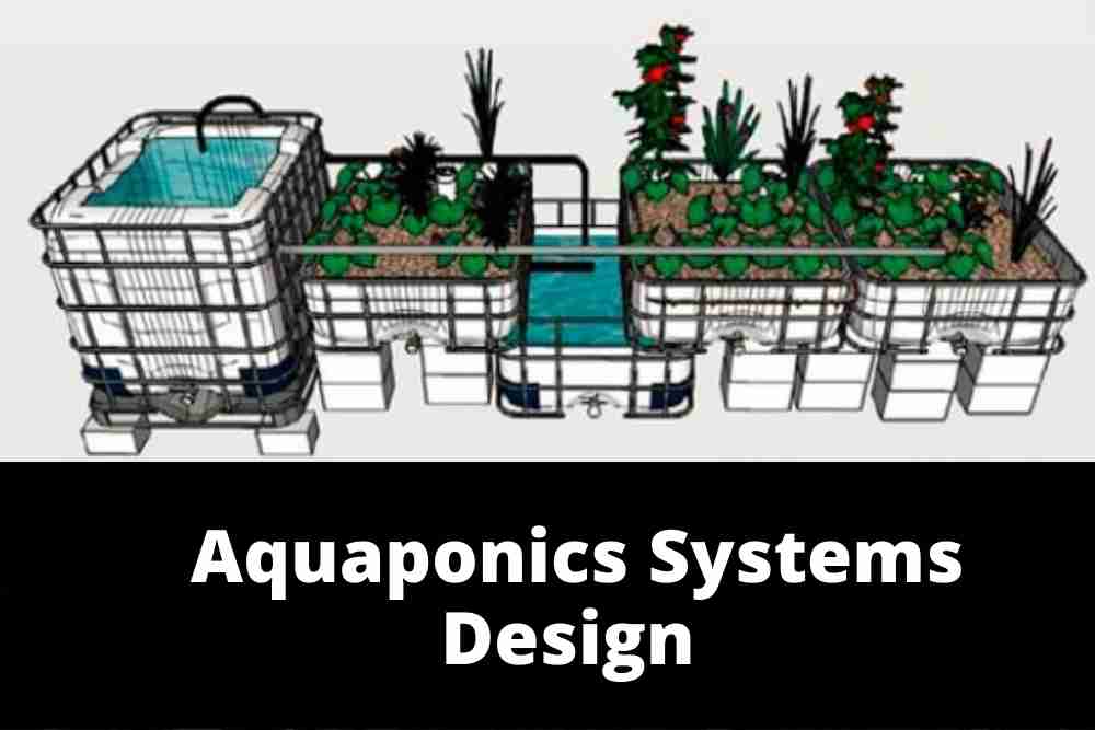 Aquaponics Systems Design