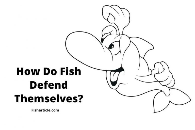 How Do Fish Defend Themselves