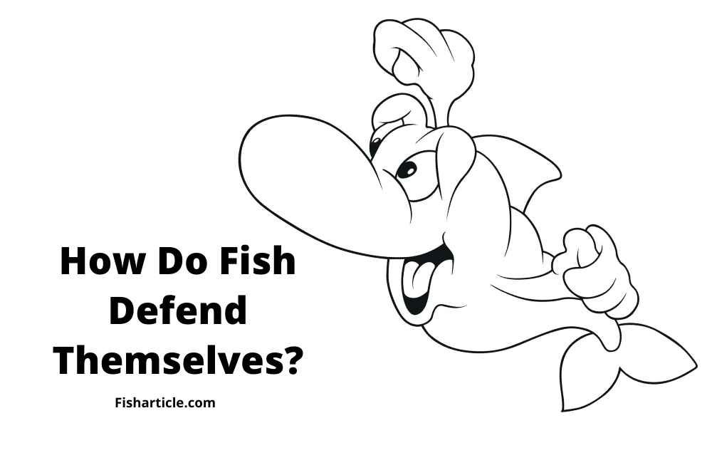 how-do-fish-defend-themselves-fish-article