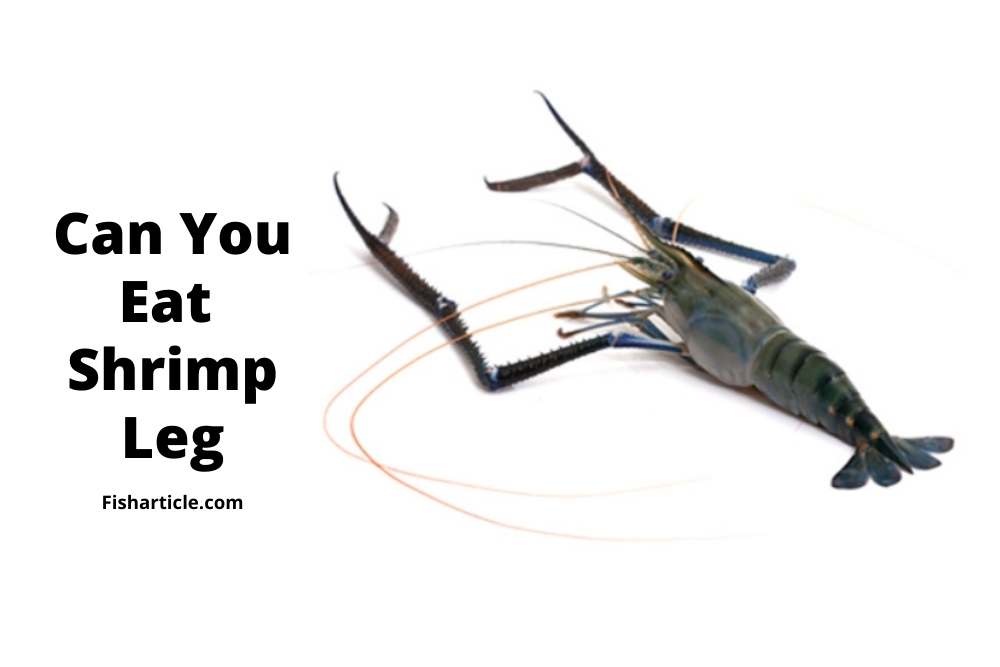 Can you eat shrimp legs