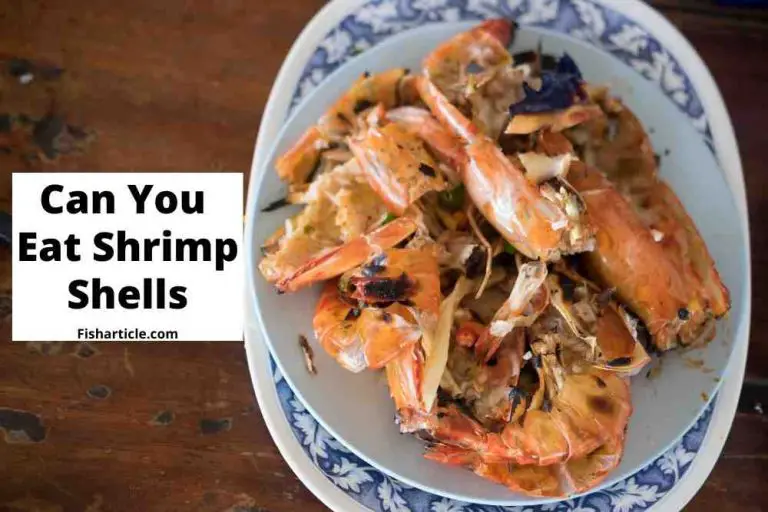 Can you eat shrimp shells