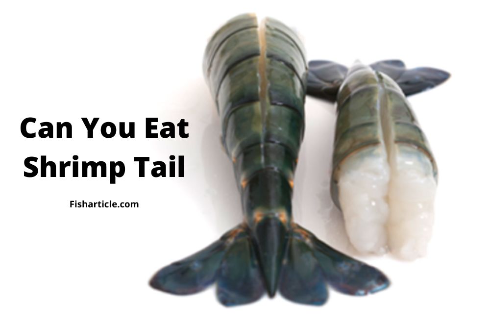 Can you eat shrimp tail