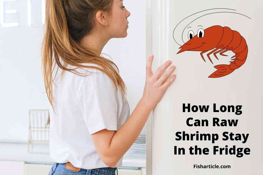 How Long Can Raw Shrimp Stay In the Fridge