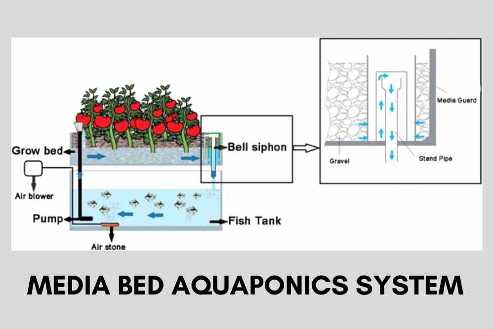 Media based aquaponics system