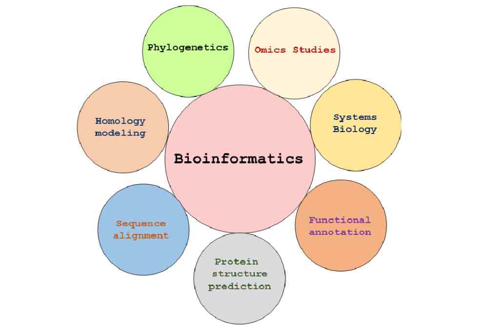 Bioinformatics fields