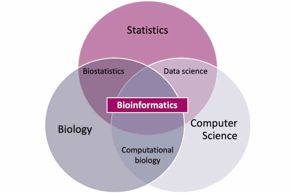 Bioinformatics triangle