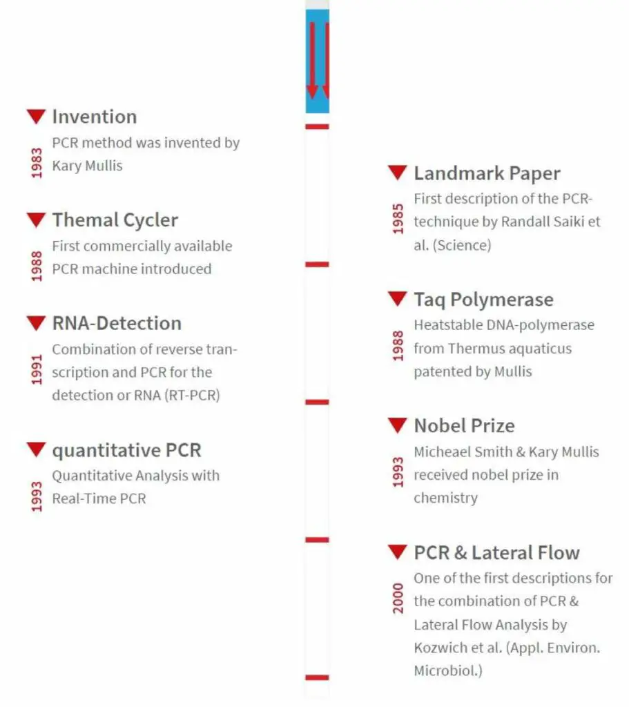 PCR History
